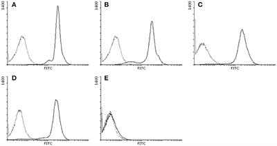 Mucosal Autoimmunity to Cell-Bound GP2 Isoforms Is a Sensitive Marker in PSC and Associated With the Clinical Phenotype